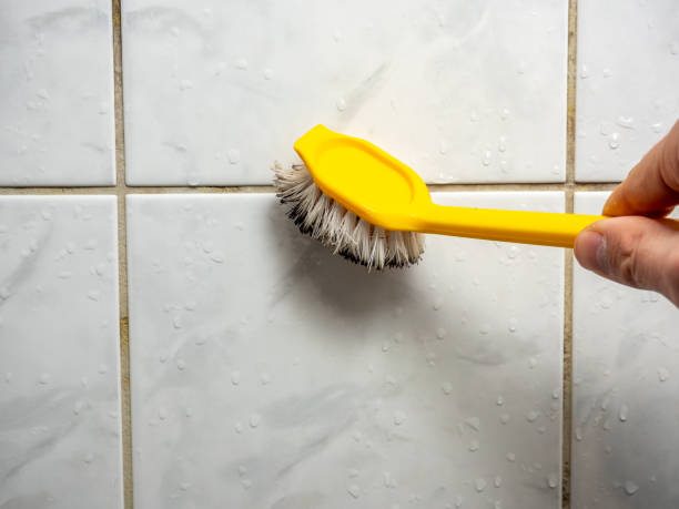 Best Mold Cleaning Services  in Millis Clicquot, MA